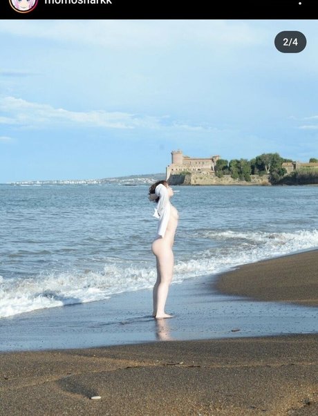 Momosharkk leak onlyfans