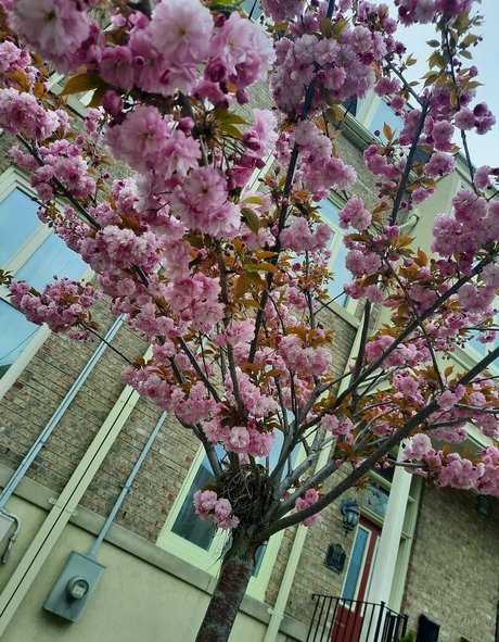 ayavonlee onlyfans public photos