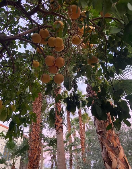 lilrosiedoll only fans leak