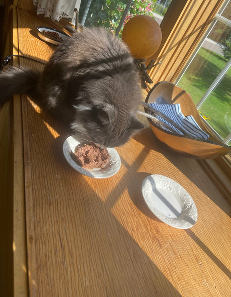 lilrosiedoll onlyfans naked porn