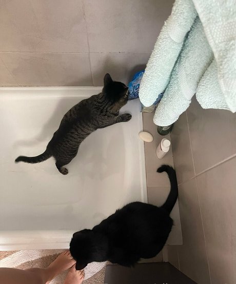 ellamontoya4u new onlyfans