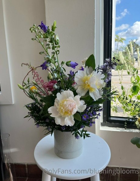 blushingblooms onlyfans nsfw