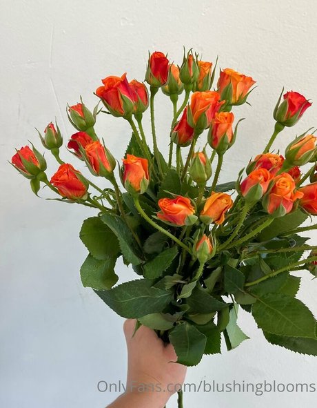 blushingblooms xxx onlyfans