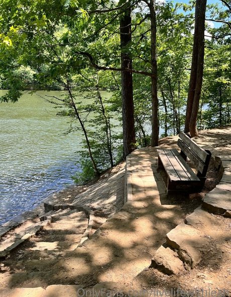 leahsade Profile pic