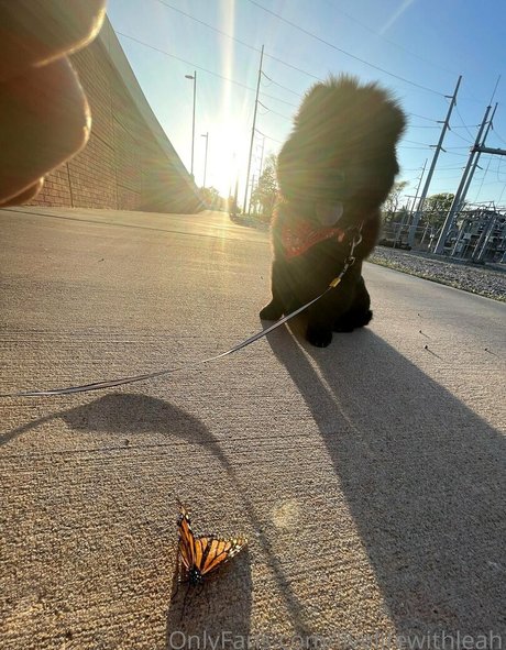 leahsade pics onlyfans