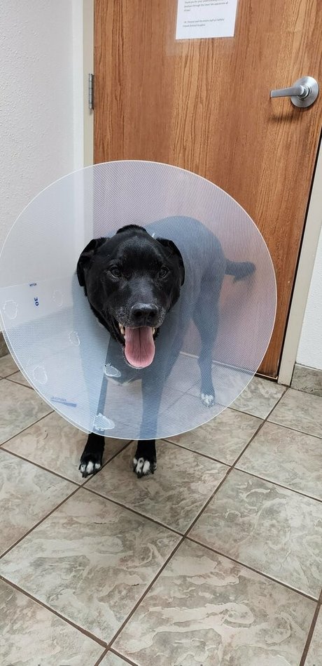 plants and piercings free onlyfans porn