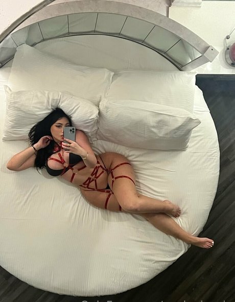 avalouisevip Profile pic