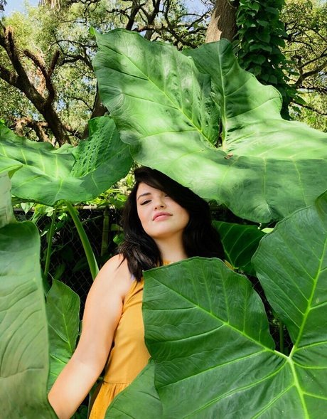 Alondra Larson Profile pic