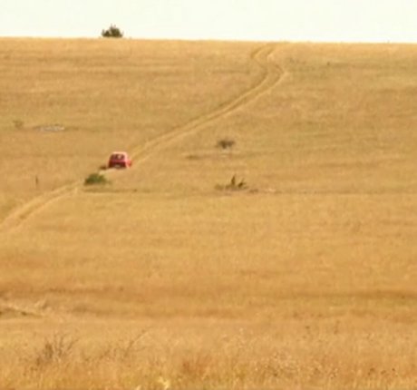 Explicit Movie Sex Scenes onlyfans star