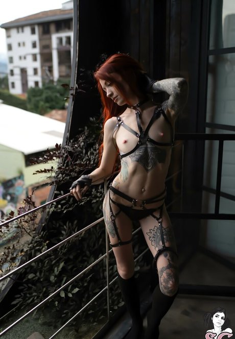 zarawolf onlyfans xxx