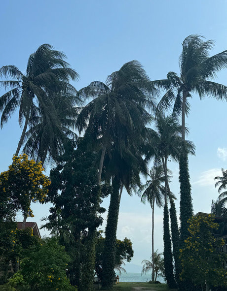 iamvirtuallady pics onlyfans