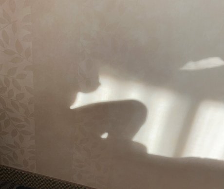 Dakota Blushing onlyfans xxx