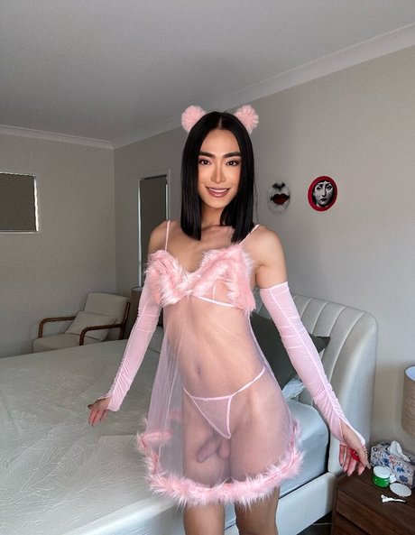 trishats26 onlyfans content type