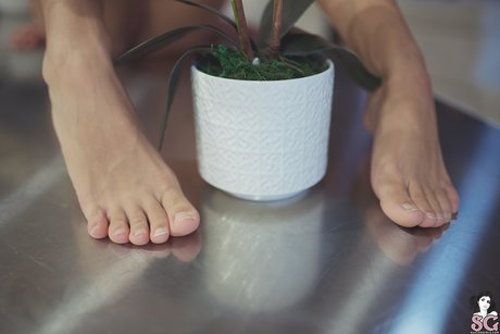 Erisverba feet onlyfans