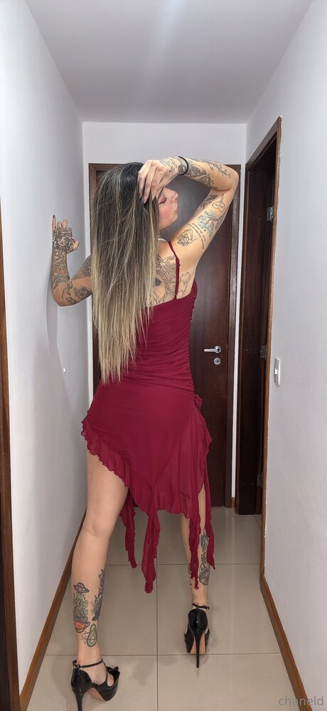 Chaneld free onlyfans porn