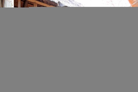 Nonnie 40dd onlyfans leaks nude