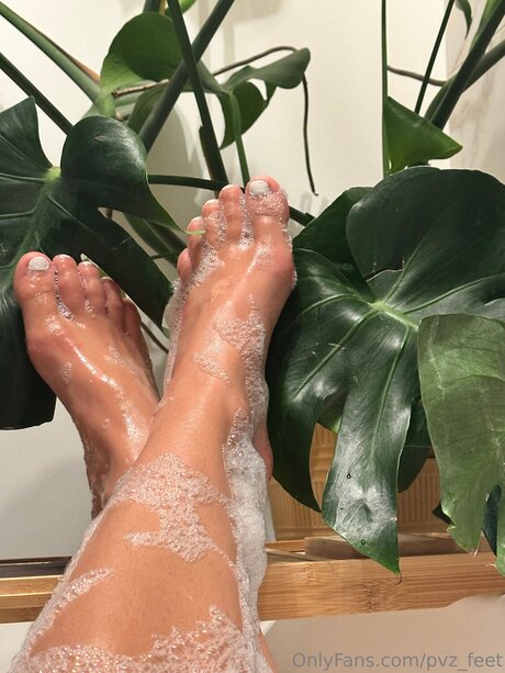 Pvz Feet Profile pic