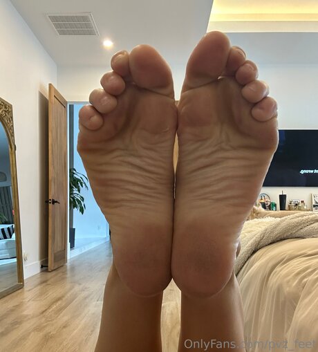 Pvz Feet onlyfans model photo