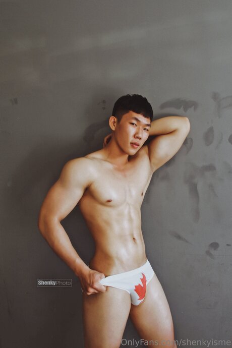 Shenkyisme onlyfans photo