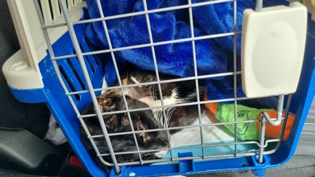 Billiebugcosplay onlyfans pic