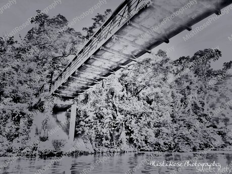 Sweetkitty777 hot onlyfans