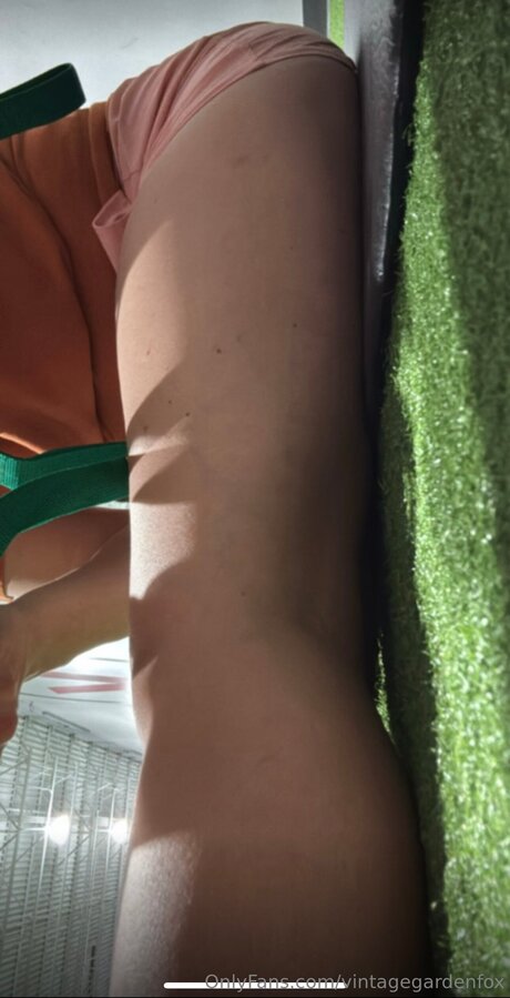 Vintagegardenfox only fans pictures