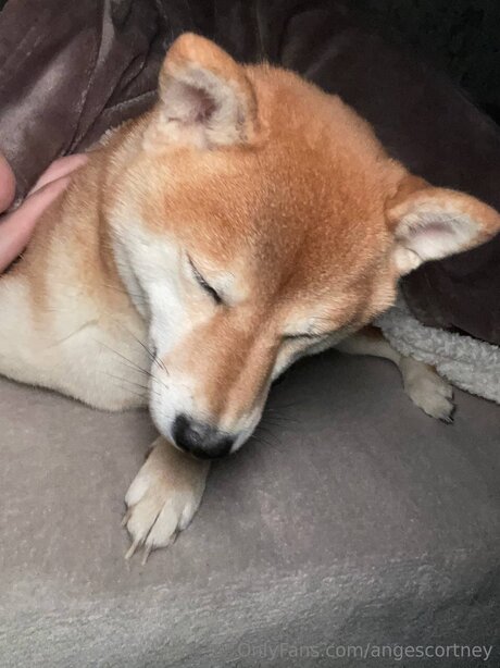 Angescortney sexy onlyfans