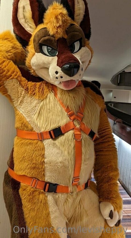 levisheppy leaked porn onlyfans