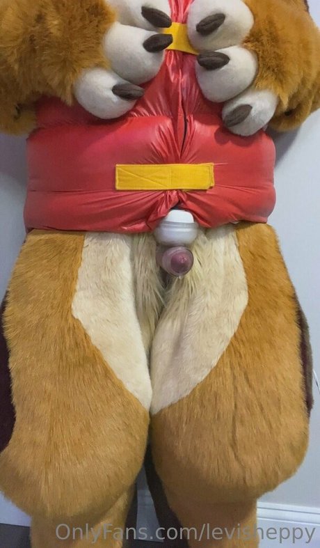 levisheppy onlyfans strip