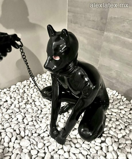 alexlatex mx is on onlyfans