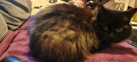 joebutnsfw nude onlyfans leak