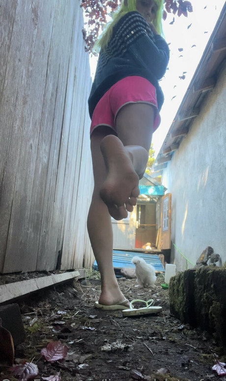 lizgizzardfree onlyfans leaked nudes