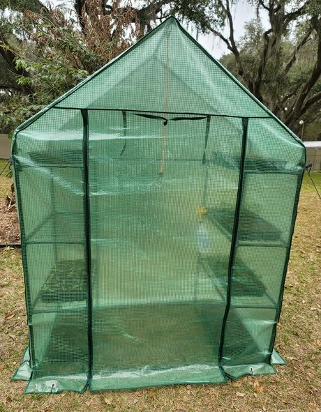 deealice onlyfans porn free