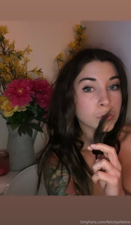 felicityfeline onlyfans leaks naked