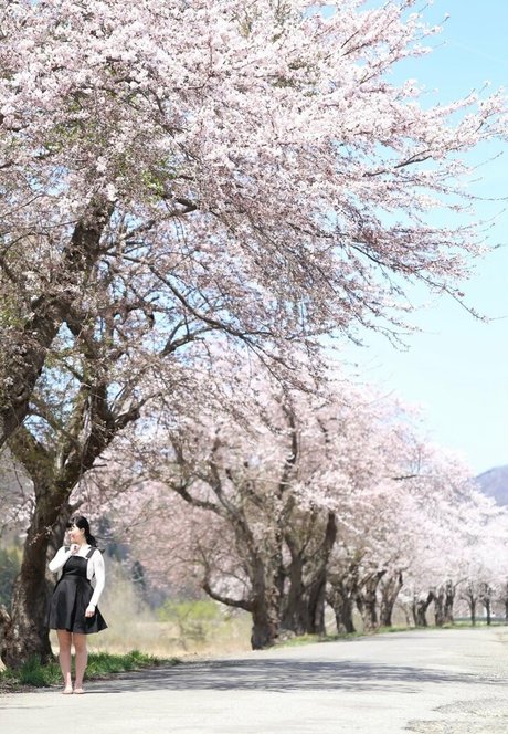 shizukachan0701 Profile pic