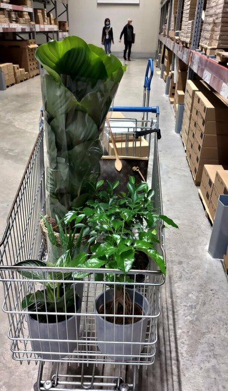 taylorburton nude onlyfans porn