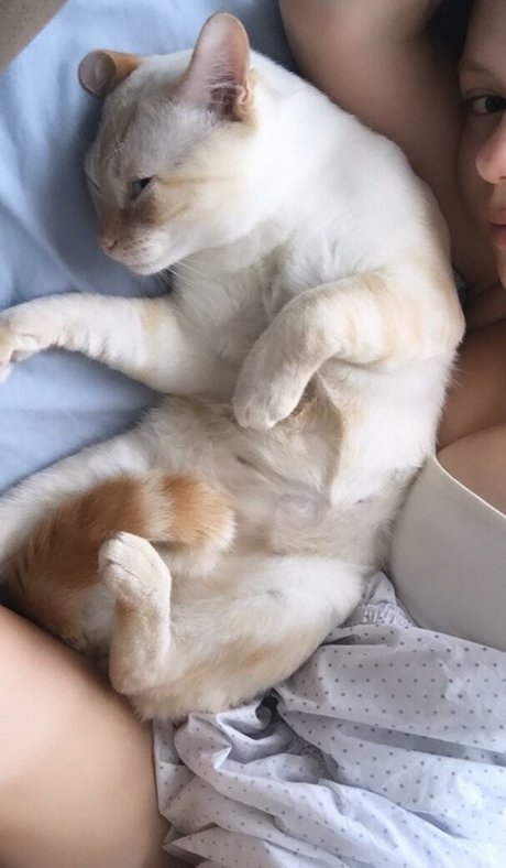 gbrllareis onlyfans leaks xxx