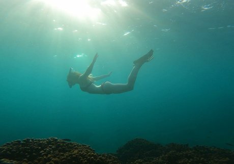 Lily Sheen Profile pic