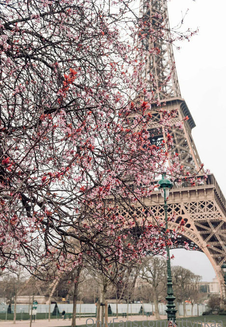 kittynkaa only fans naked