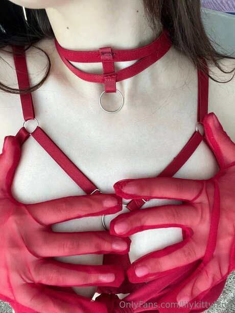 Lilykittyblog on onlyfans