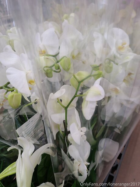 Loneranger2017 onlyfans nude leaked