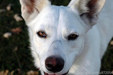 Loneranger2017 only fans leak porn