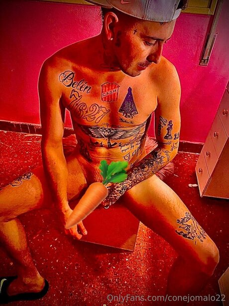 Conejomalo22 only fans nudes
