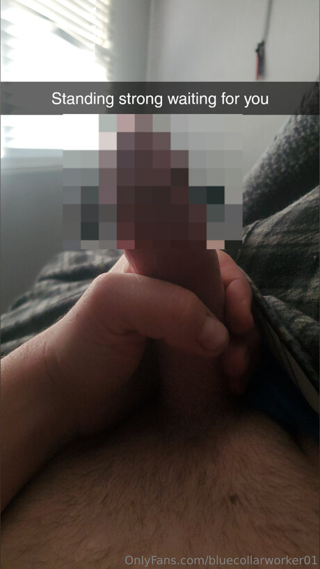 Bluecollarworker01 onlyfans tits