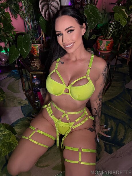 Moneybirdettevip Profile pic