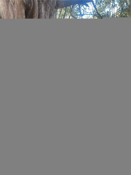 Petite Romani 69 onlyfans porn leaks