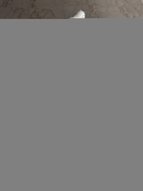 Bella Yammy onlyfans leak ass