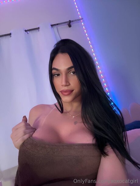 Xoxocatgirl nude onlyfans