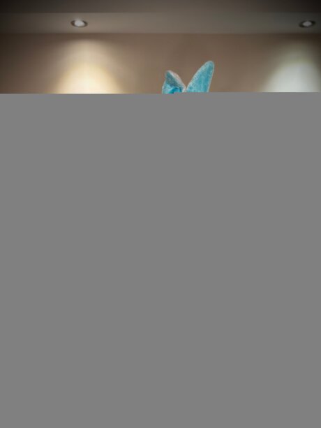 Thenamelessghuleh nude onlyfans leaked