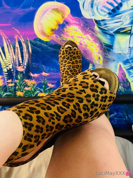 Lacimayxxx Profile pic